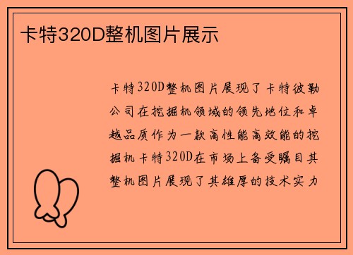 卡特320D整机图片展示