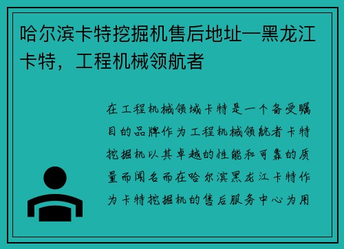 哈尔滨卡特挖掘机售后地址—黑龙江卡特，工程机械领航者